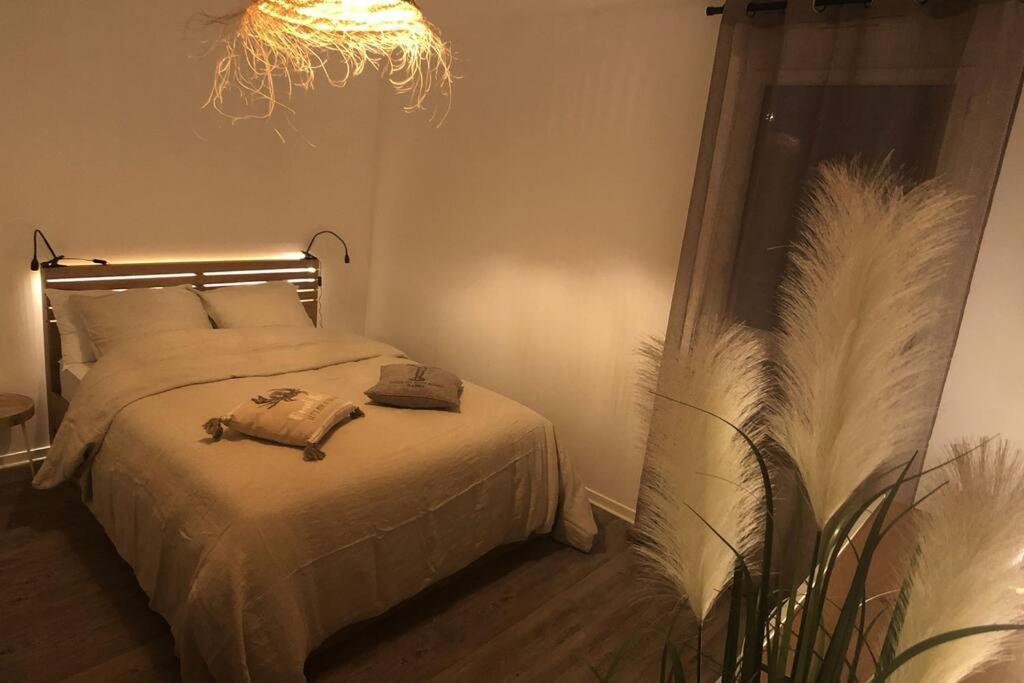 Appartement, Confort, Parking, Terrasse ดีน็อง ภายนอก รูปภาพ
