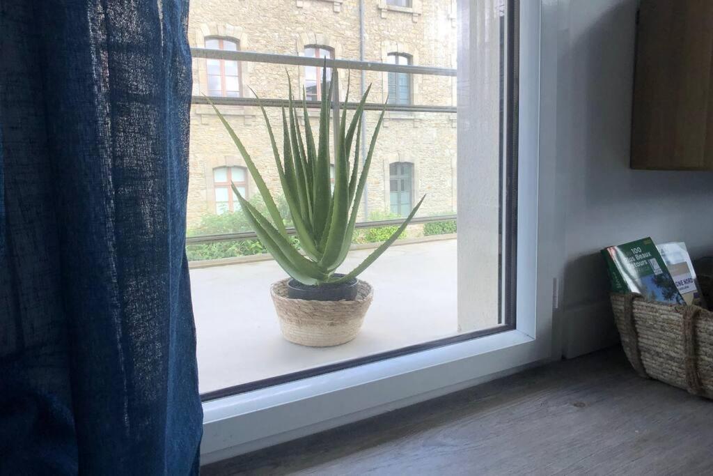 Appartement, Confort, Parking, Terrasse ดีน็อง ภายนอก รูปภาพ